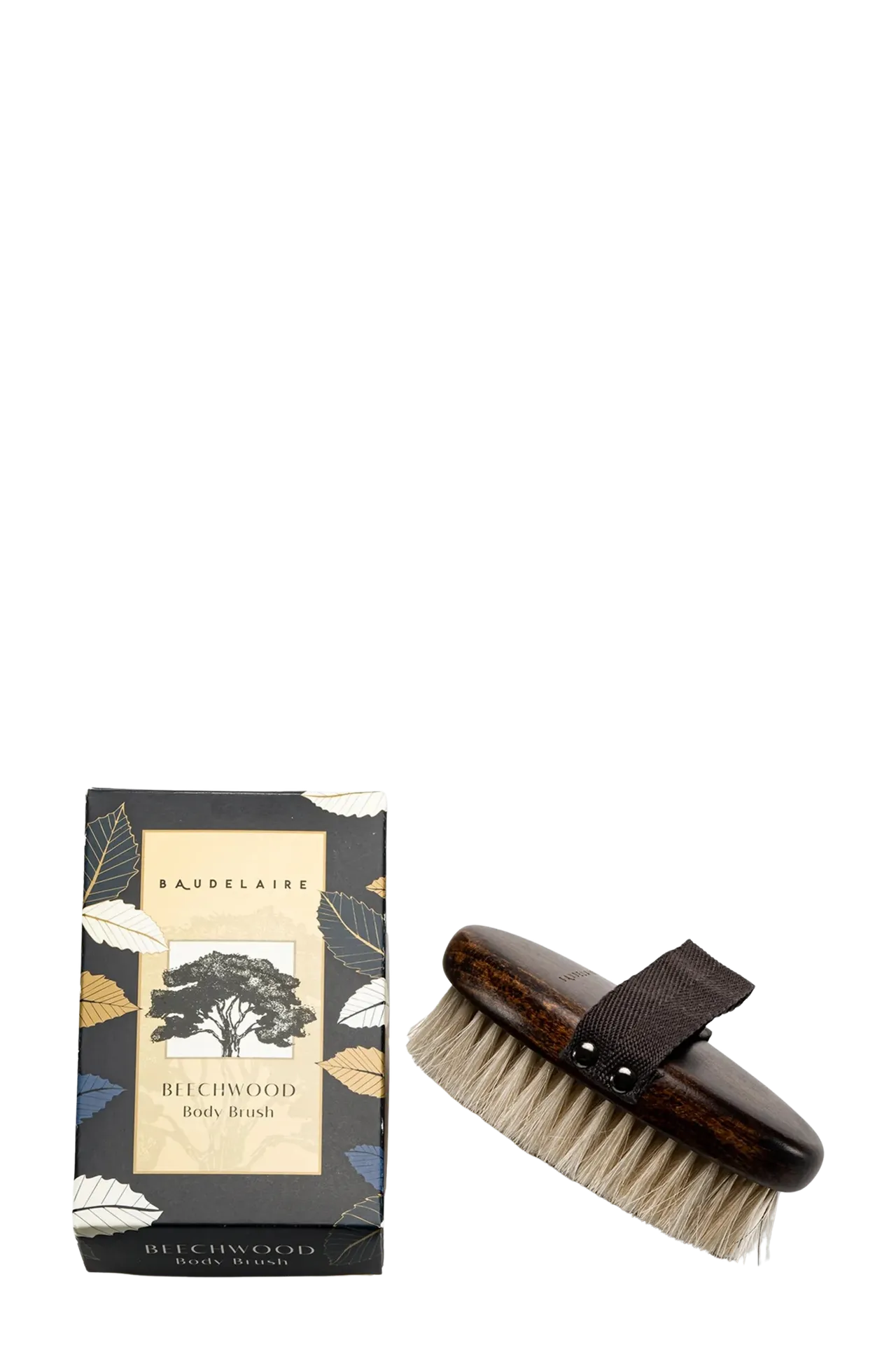 Baudelaire_Body Brush